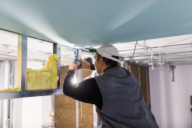 Best Specialized Insulation Services in West Frankfort, IL