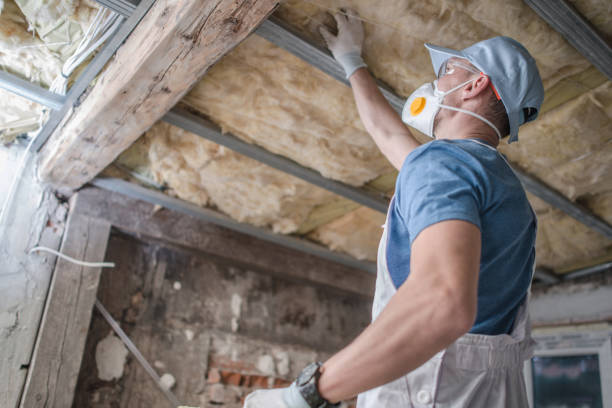 Best Commercial Insulation in West Frankfort, IL