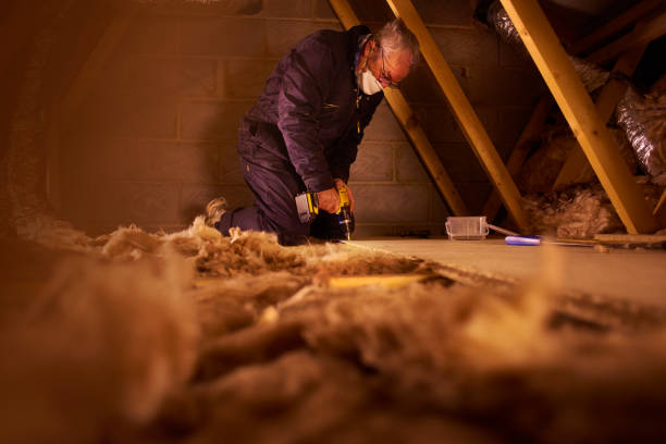Best DIY Insulation Kits and Guidance in West Frankfort, IL