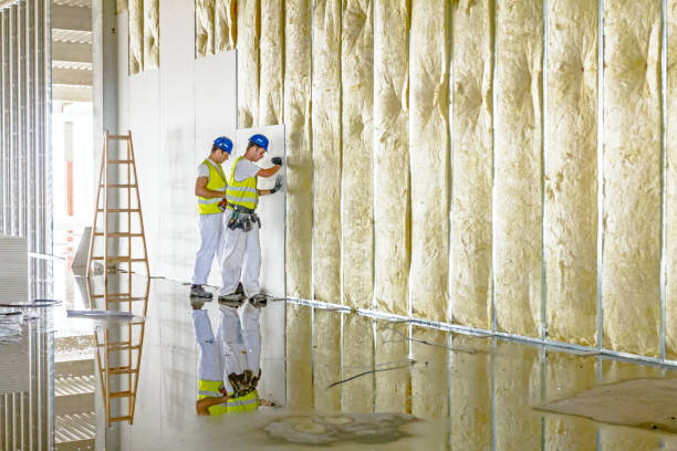 Best Energy Efficiency Insulation in West Frankfort, IL